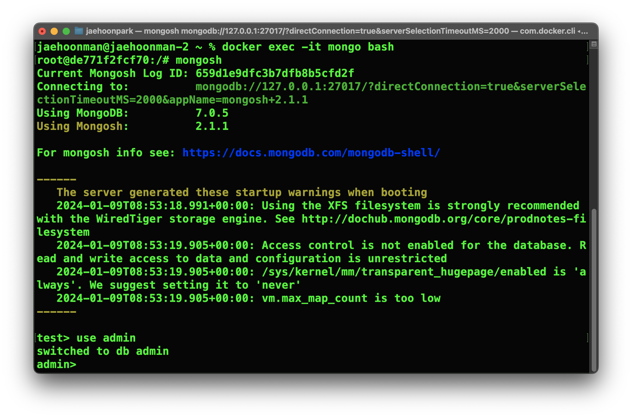 Execute bash