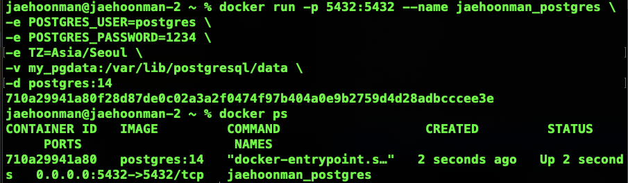 docker-run-db